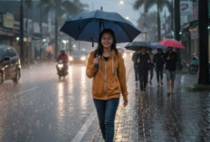 Prakiraan Cuaca BMKG Minggu 11 Januari 2026: Palembang Potensi Berawan, OKU dan OKI Hujan Ringan 