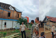 Gerak Cepat Pemkab Lahat! Kirim Bantuan Material ke Tunggul Bute Usai 16 Rumah Diterjang Angin Kencang