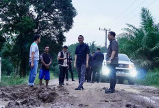 Bupati Muchendi Tinjau Kerusakan Jalan Poros Cengal, Minta Perusahaan Buka Jalur Alternatif
