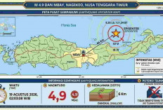 Gempa M 4,9 Guncang Mbay Nagekeo NTT, Getaran Susulan Terjadi hingga Pagi Ini