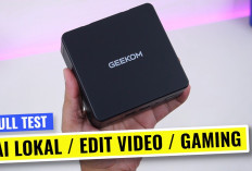 Analisis Mendalam: Dampak Dual Channel RAM pada Performa iGPU dan AI Lokal di GEEKOM IT15