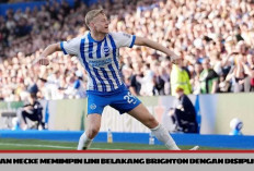 Van Hecke Memimpin Lini Belakang Brighton dengan Disiplin