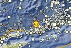 Rentetan Gempa Terjadi Pagi Ini, Maluku Barat Daya Jadi yang Terbesar
