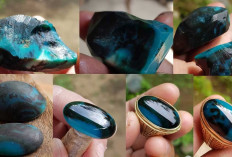 Bikin Heboh! Batu Akik Bacan Disebut ‘Batu Hidup’, Konon Simpan Aura Gaib Tingkat Tinggi