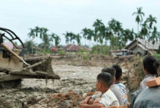 Pemulihan Dimulai! Hutama Karya Siapkan 120 Huntara untuk Warga Aceh Tamiang