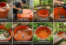 Solusi Kreatif Hemat Biaya: 7 Cara Sulap Toren Air Bekas Jadi Kolam Ikan Mini Estetik di Halaman Belakang