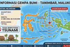 Deretan Gempa Guncang Indonesia Pagi Ini, Tanimbar Digoyang Magnitudo 5,0!