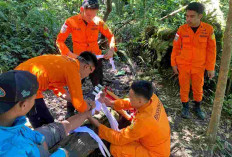 Tergelincir dan Jatuh 6 Meter di Gunung Dempo, Pendaki 19 Tahun Dievakuasi Tim SAR