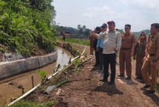 Bupati Bursah Zarnubi Siap Tebar 500 Ribu Benih Ikan Demi Sulap Tebat Mbahangan Jadi Ikon Agrowisata Baru