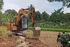 Geram Belum Tersentuh Pemerintah, Warga Desa Gunung Batu OKU Timur Rela Rogoh Kocek Sendiri Bangun Jalan Tani