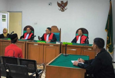 Sidang Putusan Penjual Satwa Dilindungi di Palembang Akhirnya Ditunda, Ini Penyebabnya