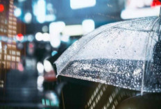 Update Cuaca Terbaru: Palembang dan Sekitarnya Berpotensi Hujan Hari Ini