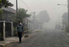Prakiraan Cuaca Sumsel 20 Oktober 2026: Udara Kabur Mendominasi, Pagar Alam Waspada Kabut Asap!