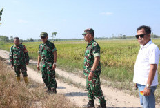 Kasdim 0402/OKI Tinjau Lahan Lokasi Panen Raya Serentak Bersama Presiden RI di Desa Jukdadak