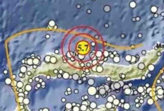 Gempa Magnitudo 5,7 Guncang Buol Sulteng Pagi Ini, Tak Berpotensi Tsunami