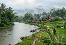 Prakiraan Cuaca Sumsel Senin 20 Juli 2026: Waspada! Palembang hingga Muratara Berpotensi Diguyur Hujan