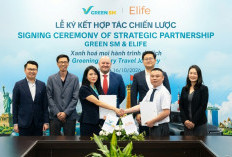 Green SM x Elife Duet Maut Rajai Dunia, Bawa Taksi Listrik VinFast Guncang Jagat Sektor Wisata!