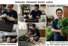 Mudah dan Praktis! 5 Langkah Sukses Menanam Bayam di Pot atau Pekarangan Rumah