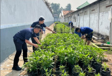 Tak Hanya Jalani Pembinaan, Warga Binaan Lapas Sekayu Belajar Bertani dan Mandiri