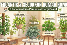 Bikin Rumah Cantik dan Hoki! 5 Tanaman Hias Ini Dipercaya Membawa Keberuntungan Menurut Feng Shui