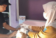 Zona Merah Rabies: Dinas TPHP Lahat Gercep Gelar Vaksinasi Gratis Spesial HUT RI Selama 3 Hari