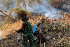 Polsek Merapi, Koramil, dan Warga Berjibaku Padamkan Karhutla di Kaki Bukit Senubut Lahat