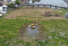 Ini Upaya DPUPR OKI Bersihkan Gulma di Jembatan Belanti