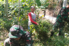 Genjot Ekonomi Petani, Satgas TMMD 129 Buka Jalan Baru Tembus Perkebunan Desa Cukil Semarang