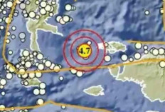 Rentetan Gempa Dini Hari Guncang Papua Barat dan Maluku, Getaran Terkuat di Raja Ampat