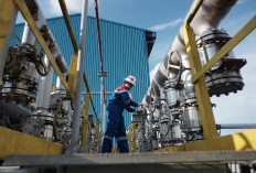 Pertamina EP Adera Field Temukan Sumur Baru, Potensi Aliran Minyak 3.442 BOPD