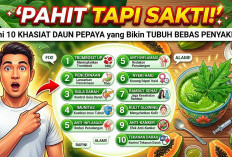 Pahit tapi Sakti! Ini 10 Khasiat Daun Pepaya yang Bikin Tubuh Bebas Penyakit
