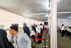 Mohon Maaf! CPNS 2026 Tak Bisa Diikuti Lulusan Sekolah dan Kampus Ini