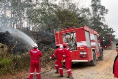 Pertamina EP Bantu Padamkan Lima Titik Kebakaran Lahan di Jambi