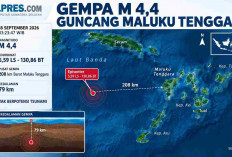 BMKG Catat Rentetan Gempa Dini Hari, Terbesar M4,4 Guncang Maluku Tenggara