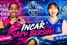 KOVO Cup 2026: Pink Spiders Punya Modal 2 Kemenangan, SOOP dalam Tekanan, Ini Prediksinya
