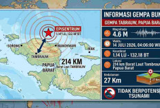 Gempa Magnitudo 4,6 Guncang Papua Barat Pagi Ini, BMKG: Tak Berpotensi Tsunami