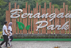Komitmen Wujudkan Lingkungan Ramah Anak, PTBA Kantongi Apresiasi Bupati Muara Enim