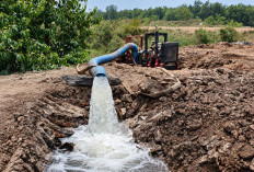 Bikin Kemarau Ketar-Ketir! PT RHM Injeksi Jutaan Liter Air ke Gambut Muba Demi Anti-Karhutla