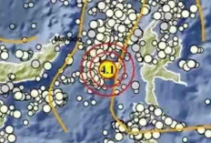 Gempa Magnitudo 4,1 Guncang Ternate pada Kedalaman 10 Km, Tak Berpotensi Tsunami