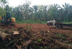 Investasi Besar di Desa! Jagabaya Lahat Siapkan 6 Unit Bisnis Kopdes Merah Putih, Apa Saja?