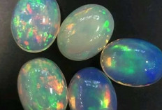 Ini 5 Batu Akik Paling Digemari Pejabat Indonesia, Nomor 4 Efeknya Bikin Geleng-geleng Kepala!