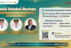 29 Kandidat Melaju! Hasil Seleksi Berkas Rekrutmen PT DSSP Power Sumsel 2026 Resmi Diumumkan