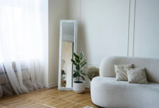 Rumah Kecil? Begini Cara Dekorasi Tanaman Hias Biar Makin Estetik!