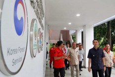 Gandeng Korea, Bupati Muchendi Luncurkan Sistem Pemantau Gambut Real-Time di OKI