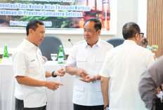 Sumsel Punya Cadangan Karbon 416 Juta Ton! Wagub Cik Ujang Dorong Tata Kelola yang Sejahterakan Rakyat