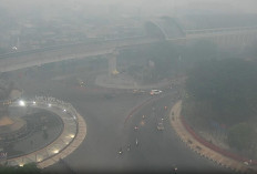 Kabut Asap Pekat Kembali Kepung Palembang Pagi Ini, Kualitas Udara Masih Tidak Sehat!