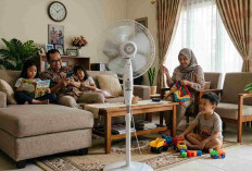 Jangan Salah Waktu! Ini Momen Paling Tepat Pakai Kipas Angin Biar Dingin Maksimal