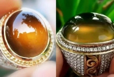 Dipercaya Punya Energi Dahsyat, Ini Deretan Khasiat Batu Akik Bio Solar yang Bikin Penasaran