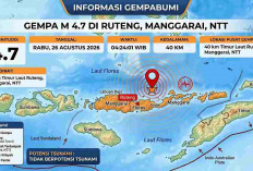 Gempa Beruntun Guncang Ruteng dan Mbay NTT Pagi Ini, Terkuat Capai M4,7