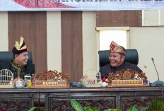 Herman Deru Puji Lompatan Kemajuan Banyuasin di Usia ke-24